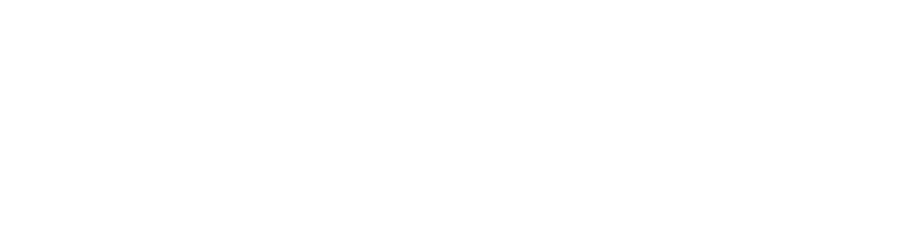 NexPe Logo